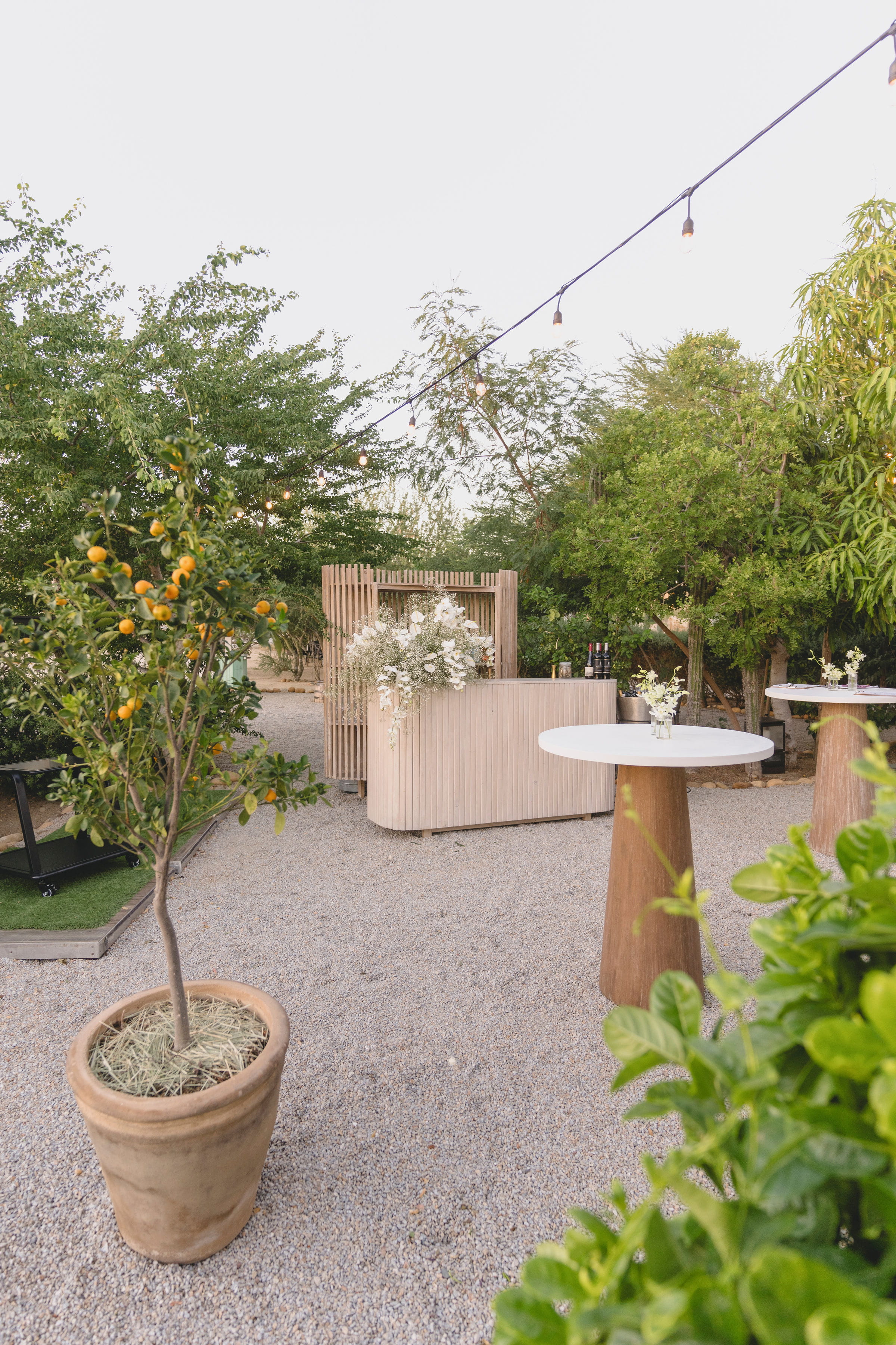 Fotografía de La P&eacute;rgola de Zad&uacute;n, a Ritz-Carlton Reserve - 49910 