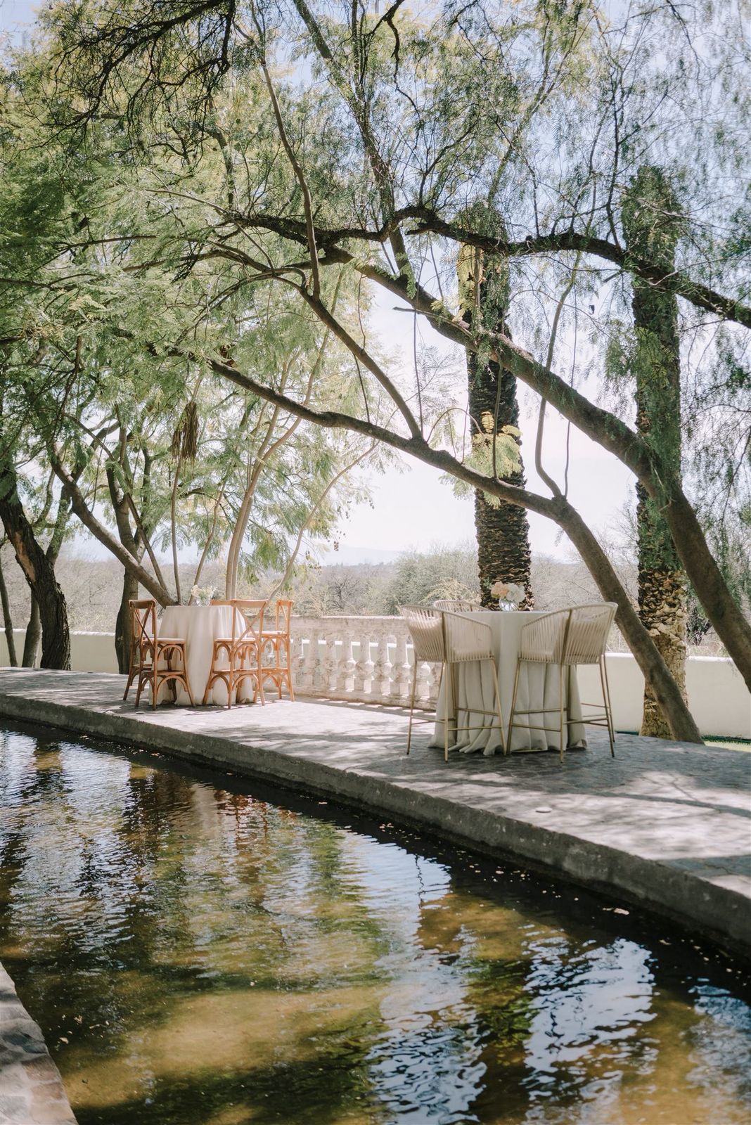 Fotografía de Herencia de Allende de Cyr&eacute; - 50043 