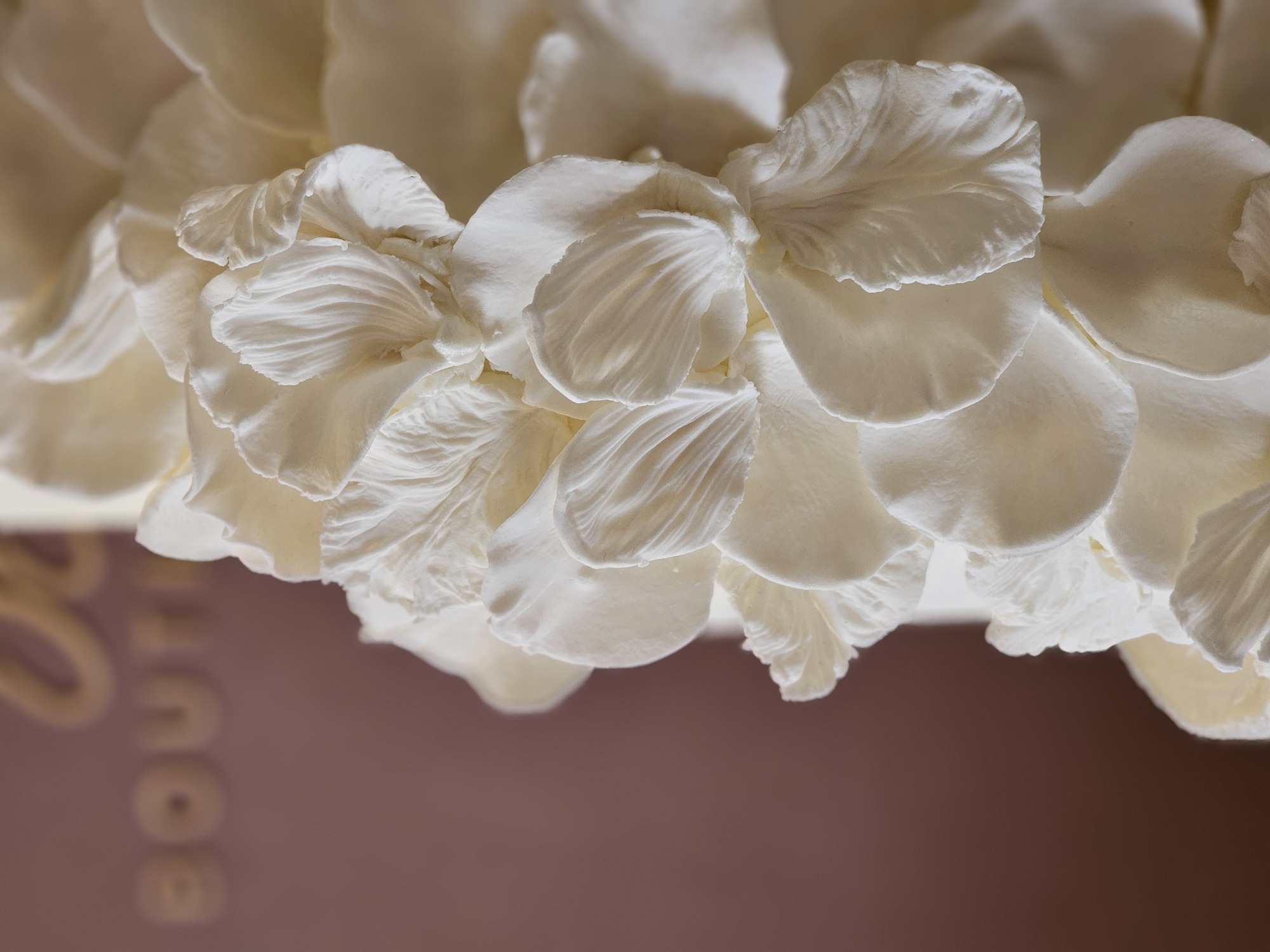 Fotografía de PORTAFOL&Iacute;O de Sophia Pedrazzi Cake Boutique - 50108 