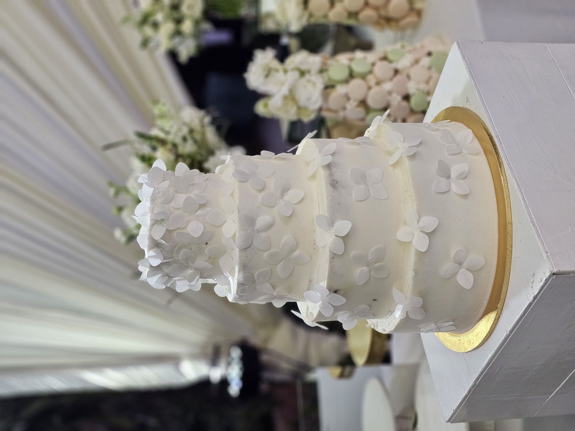 Fotografía de CAKES de Sophia Pedrazzi Cake Boutique - 50134 